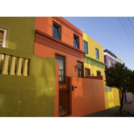 Painted houses in a row Cape Malays Cape Town Western Cape Province South Africa Poster