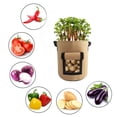 thumbnail image 1 of Bolsas de Contenedor reutilizable CUTICAT con ventana visible varios tamaños S Light Tan, 1 of 5