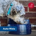 thumbnail image 2 of Dispensador de agua para perros y gatos para exteriores Coastal Pet Bergan Auto-Wata, 2 of 8