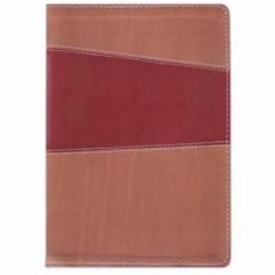 Pre-Owned The Message Remix 2.0: The Bible in Contemporary Language: Vintage Red / Beige Leather-Look (Paperback) 1615216820 9781615216826