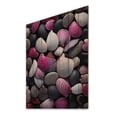 thumbnail image 2 of Designart "Pink Grey Pink White Shells Seashore composition" Animals Print on Natural Pine Wood, 2 of 5