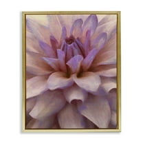 Stupell Industries Purple Dahlia Petals Botanical & Floral Painting Gold Floater Framed Art Print Wall Art, 25 x 31