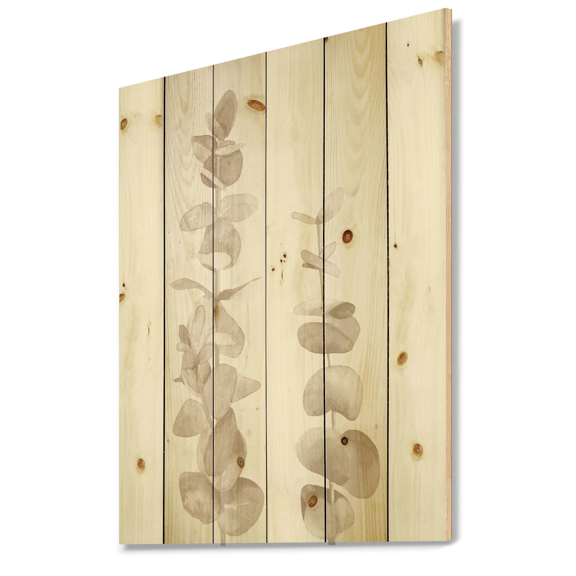 Designart 'Grey Eucalyptus Branches On White' Traditional Print on Natural Pine Wood