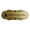 Black Gold, variant on Designer Employees ONLY (Worker) Sign (Brushed Silver) - Medium