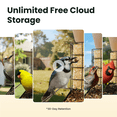 thumbnail image 4 of Birdfy Smart Bird Feeder with Camera, 1080P HD, 60FPS Video, AI Bird Identification, Night Vision, Cloud Storage, Suet Holder, Gift for Bird Lovers, Metal V, 4 of 12