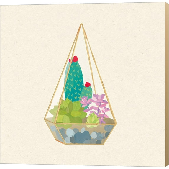 Succulent Terrarium II by Wild Apple Portfolio, Canvas Wall Art