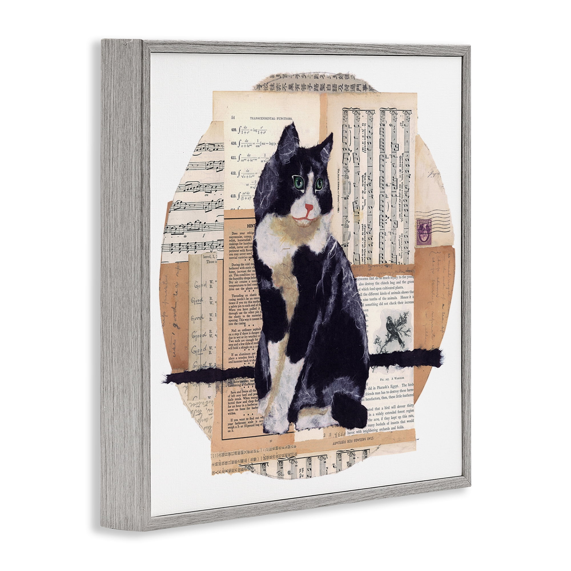 Stupell Industries Tuxedo Cat Collage Animals & Insects Painting Gray Framed Art Print Wall Art, 12 x 12
