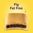Newtons Fat Free Soft MSF2 & Fruit Chewy Fig Cookies, (Fig Bars), 12