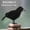 2PCS, variant on 1/2/3/5PCS Halloween Crow Realistic Ravens Model Black Feather Crows Halloween Artificial Crow For Outdoor Ornaments