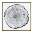 thumbnail image 2 of Kate and Laurel Sylvie Tree Rings 1 Framed Canvas Wall Art by Emiko and Mark Franzen of F2Images, 30x30 Gold, Organic Black and White Tree Art, 2 of 6