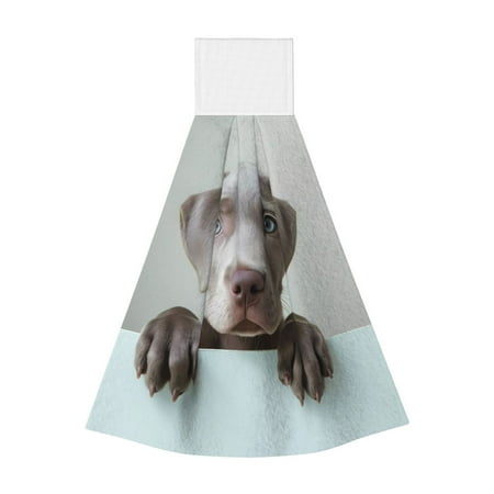 

Gaeub Adorable Puppy Portrait Print Hand Towels with Hook Hanging Tie Towels Coral Velvet Dishtowels for Bathroom Restroom Home Decor