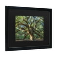 thumbnail image 2 of Trademark Fine Art 'Angel Oak Charleston' Canvas Art by Pierre Leclerc, 2 of 4