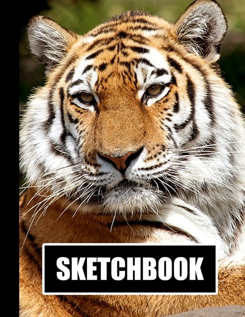 Sketchbook Tiger Cover Design White Paper 120 Blank Unlined Pages