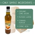 thumbnail image 3 of Joe's Organic Syrup Caramel 750ml, 3 of 7