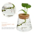 thumbnail image 3 of FENGGUIQU 2Ud Terrario De Vidrio Para Plantas Hidroponías Con Acabado Para Y Oficina, 3 of 8