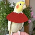 thumbnail image 3 of Pet Supplies Parrot E Collars Feather Plucking Protective Recovery Device for Lovebird Agapornis, 3 of 6