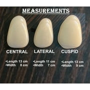 Impressive Ultra Thin Tooth Whitening Veneers Choose Shade A-1