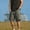#1Green, variant on MYAOYI Mens Olive Green Cargo Shorts, Loose Fit Summer Outdoor Shorts