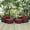 Espresso Red, variant on Modway Convene 5 Piece Outdoor Patio Sectional Set in Espresso Mocha