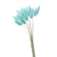 thumbnail image 1 of Ramos de flores secas naturales, plantas de cola de conejo, arreglos florales con tallos bohemios azul, 1 of 8
