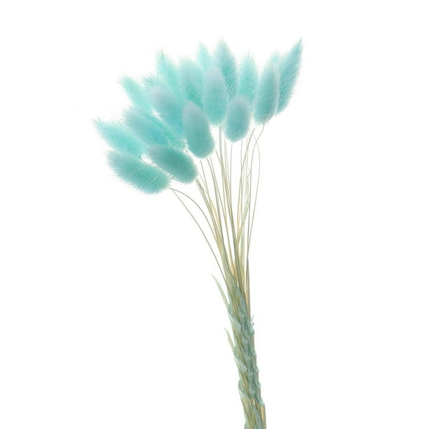 Decoración de hierba de pampa seca natural, ramo de flores de plantas secas, decoración del hogar boho, azul