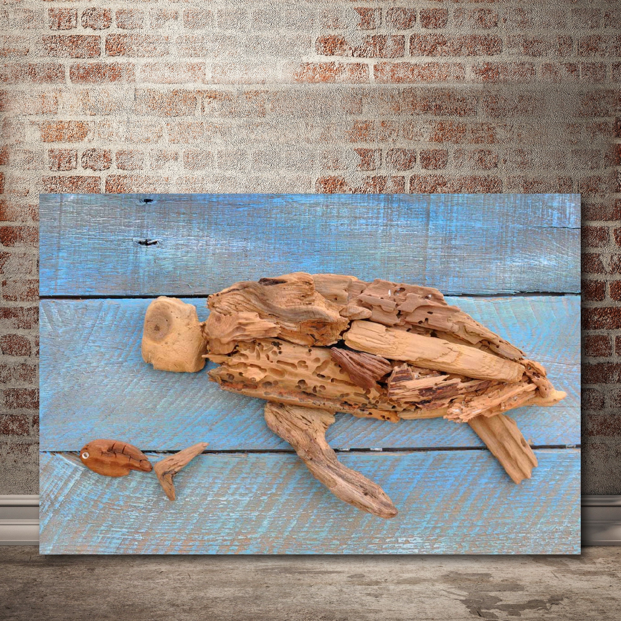Driftwood Turtle Gallery-Wrapped Canvas Wall Art, 16x20