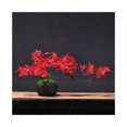 thumbnail image 1 of Simulación Bienvenido Belleza de Pino Adornos de Pino y Bonsái Hogar Sala de Estar Plantas en Maceta, 1 of 6