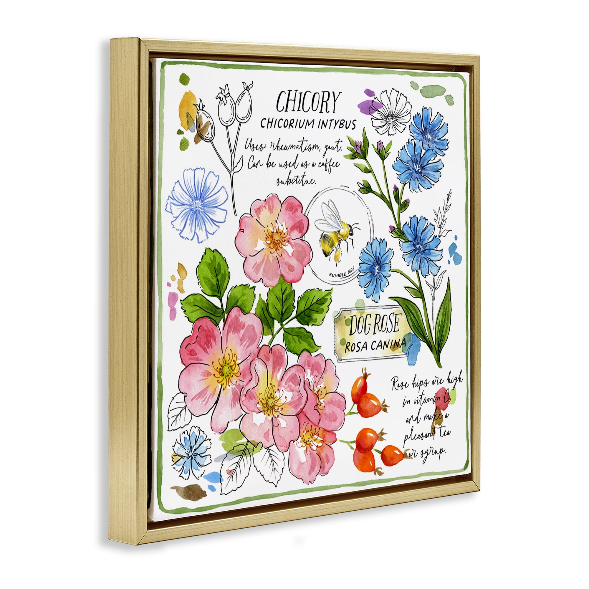 Stupell Industries Varied Herbs Benefits Plants & Flowers Painting Gold Floater Framed Canvas Art Print Wall Art, 18 x 18