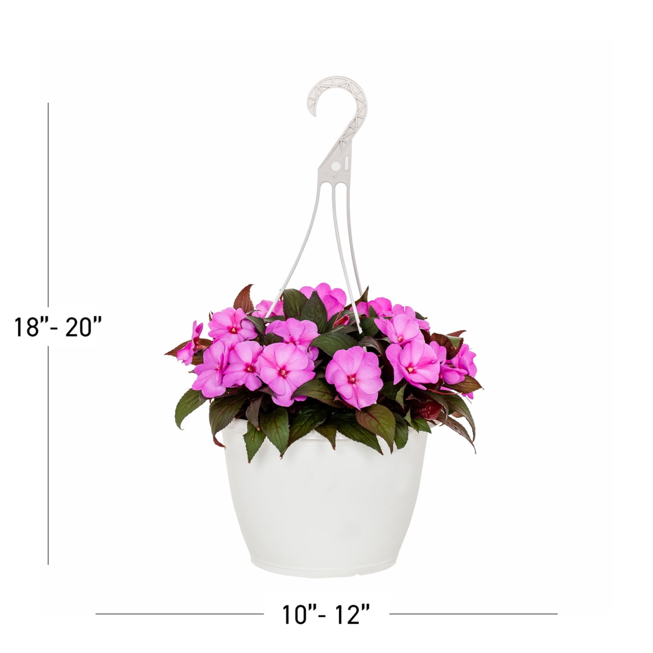 Expert Gardener 1.5 Gal Pink New Guinea Impatiens Live Annual Plant in Decorative Pot, Filtered Sun