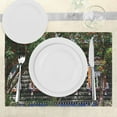 thumbnail image 3 of Ambesonne Rustic Place Mats Set of 4, Ornate Wooden Shutters, Standard Size, Red Green Brown, 3 of 6