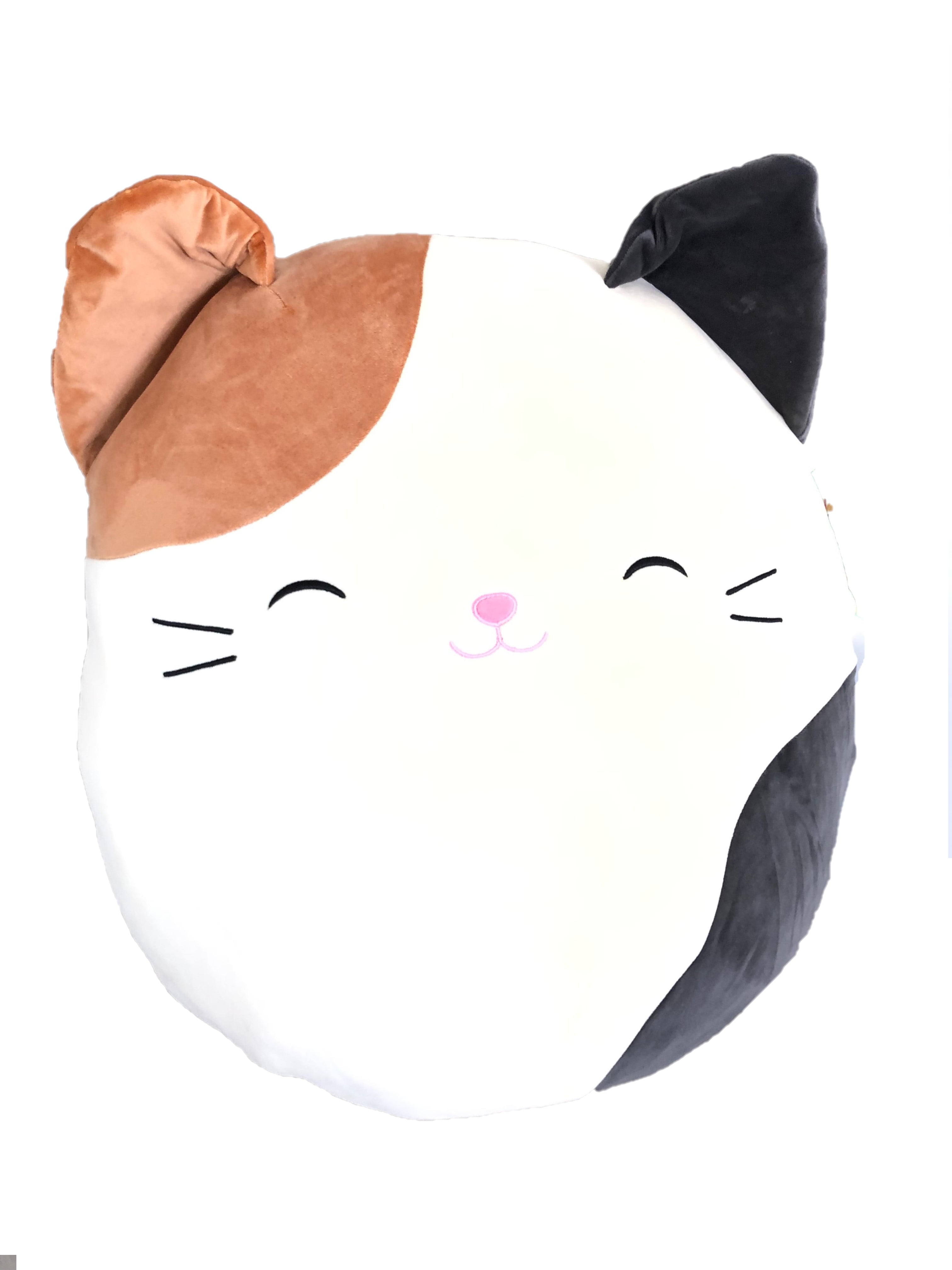 squishmallow cameron