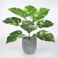 thumbnail image 4 of Planta artificial Hoja Oficina en casa Verdor Decoración Banquete de boda Planta falsa de plástico, Punto blanco, Árbol de hoja perenne kenally HA6782-08B, 4 of 6