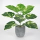 thumbnail image 4 of Planta artificial Hoja Oficina en casa Verdor Decoración Banquete de boda Planta falsa de plástico, Punto blanco, Árbol de hoja perenne Methold HA6782-08B, 4 of 6