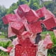 thumbnail image 3 of Christmas Gift Box DIY Folding Paper Box Money Pop Up Birthday Surprise Bounce Box Explosions Red Envelope Surpris Gift Box, 3 of 5