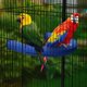 thumbnail image 5 of Soporte para percha para loros, arena de cuarzo en forma de U, palo para pájaros, molienda de patas, perchas grandes para pájaros de superficie rugosa para periquitos, guacamayos, jaulas de loros, ju, 5 of 5