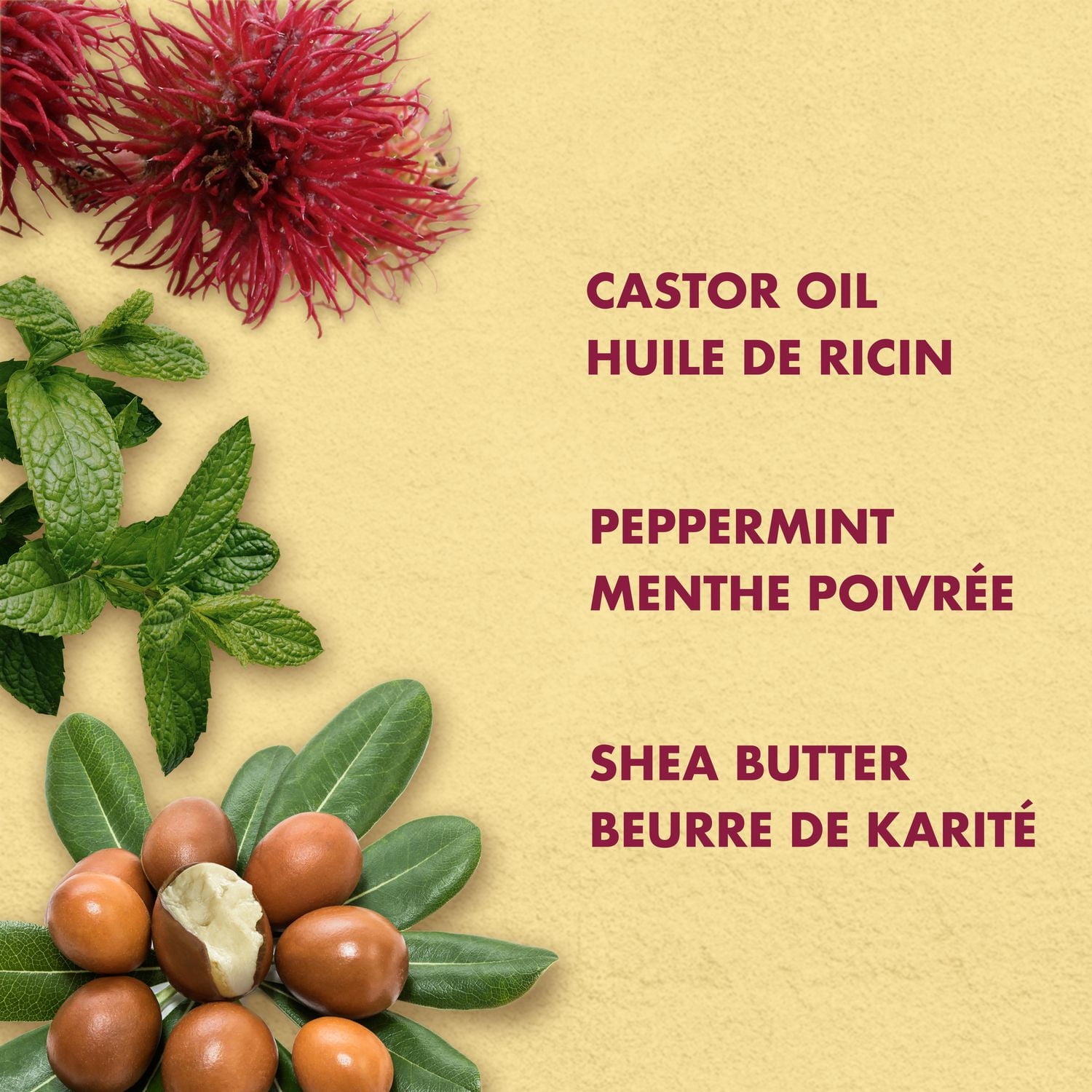 SheaMoisture Strengthen & Restore Jamaican Black Castor Oil Treatment Hair Repair Masque, 325ml Hair Repair Masque