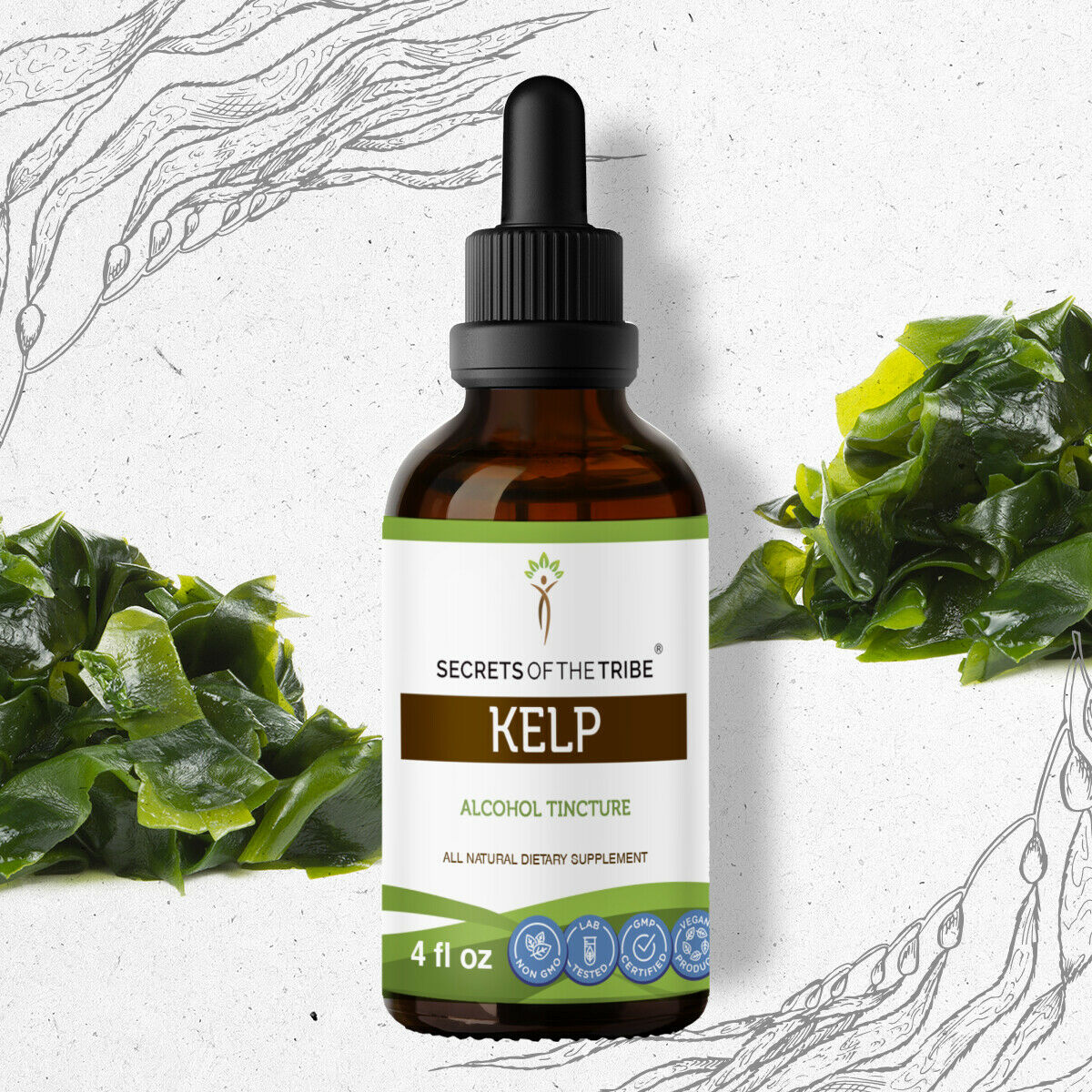 Kelp Tincture Alcohol Extract, Organic Kelp (Ascophyllum nodosum) Dried Plant 4 oz