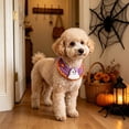thumbnail image 6 of KKOUHVY Halloween Knitted Pet Collar, Halloween Ghost Cat Dog Knitted Collar, Dog Cat Collars for Kitties Small Medium Dogs Party Outfit, Purple(L), 6 of 7