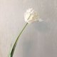 thumbnail image 1 of Flor artificial hidratante de tacto real, tulipán loro 3D, flor de seda única, decoración para el hogar, bonsái, arreglo floral, ramo de flores falsas, 1 of 6