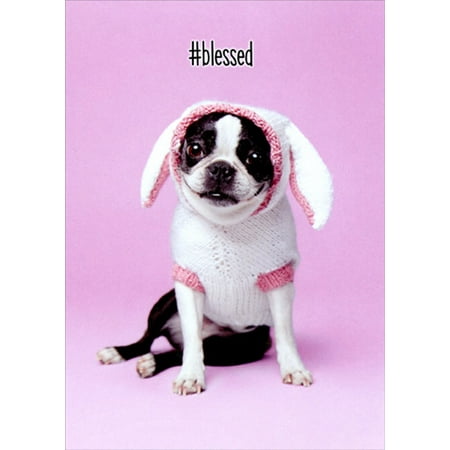 Jack Russell Christmas Cards - Avanti Press Dog Easter Bunny Cute Jack Russell Terrier Easter Card