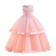 thumbnail image 1 of RXIRUCGD 2025 Vêtements d'Été pour Enfants Robe de Princesse Sans Manches Col Rond Brodée en Trois Dimensions Robe de Soirée, 1 of 8