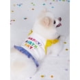 thumbnail image 2 of PETSIN Birthday Series Colorblock Lace Trimmed Cami Dress, 2 of 5