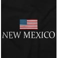 thumbnail image 2 of New Mexico Pride American Flag NM USA Plus Size Crewneck Graphic Tee Shirt Brisco Brands 2X, 2 of 5