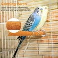thumbnail image 3 of Parrot Paw Grinding Perch Pet Stand Bird Quartz Branch Chewing Shelf Budgie Z6A2, 3 of 9