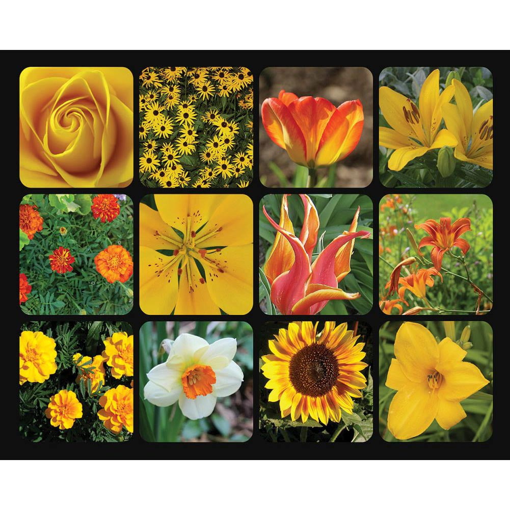 Springbok Golden Blooms 1,000-Piece Jigsaw Puzzle ...