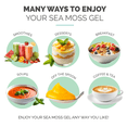 thumbnail image 5 of EverSmith Organics Organic Sea Moss Gel Mango-Pineapple Flavor 16 Oz Jar, 5 of 7