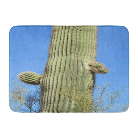 GODPOK Arizona Blue America Saguaro Cactus Carnegiea Gigantea with New Arms Growing Green Arid Birds Rug Doormat Bath Mat 23.6x15.7