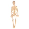 thumbnail image 4 of Mini Figure Tricky Halloween Toys Human Skeleton Funny Tricks Keychain Body Bones Model Pendant ROSE RED, 4 of 8