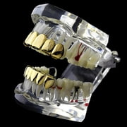 14k Gold Plated Grillz Set Six Top 6 Upper Teeth And Six Bottom 6 Lower Plain Teeth Hip Hop Grills