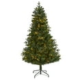 thumbnail image 3 of Nearly Natural 6' Green Fir Artificial Christmas Tree Prelit 250 Clear LED Lights, 3 of 9